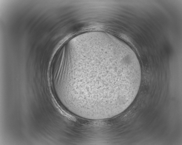 X0000054381090200508191906