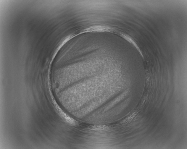 X0000054381091200508191906