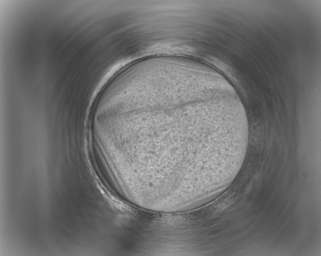 X0000054381094200508191906