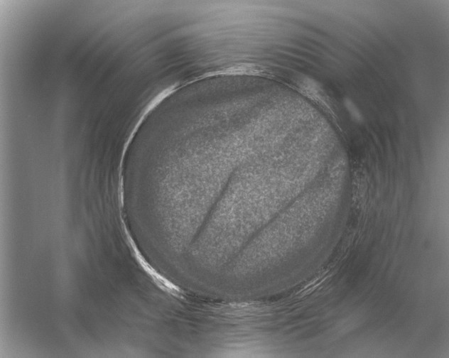 X0000054381095200508191906