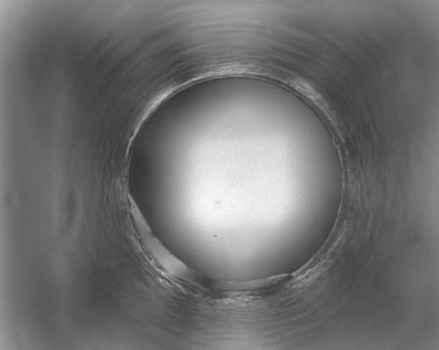 X0000054381097200508191906