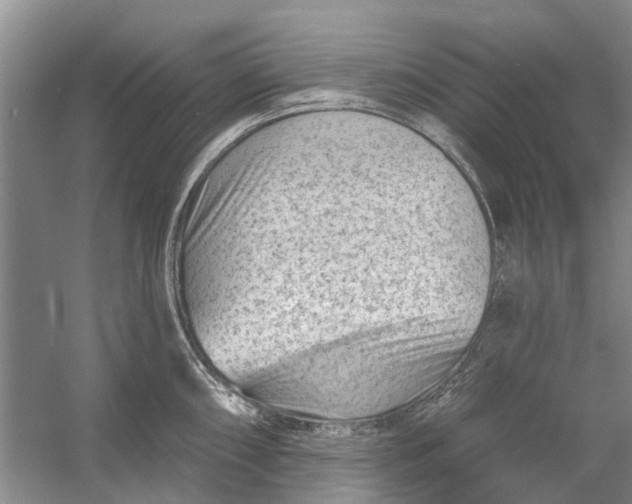 X0000054381098200508191906