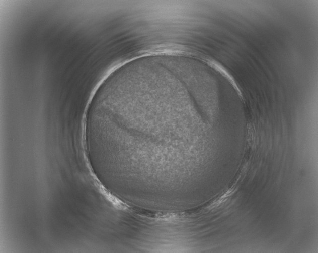 X0000054381099200508191906