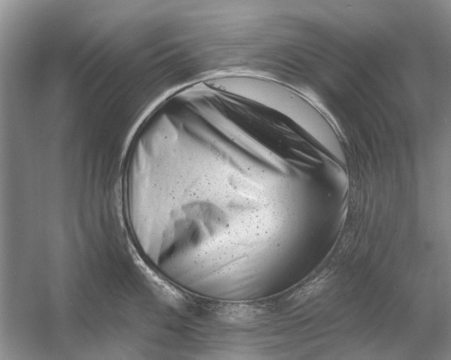 X0000054381100200508191906