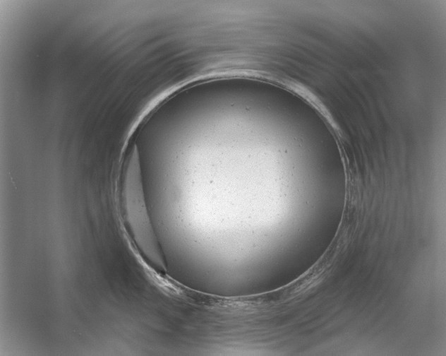 X0000054381101200508191906