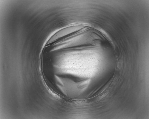 X0000054381102200508191906