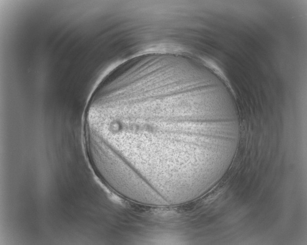 X0000054381103200508191906