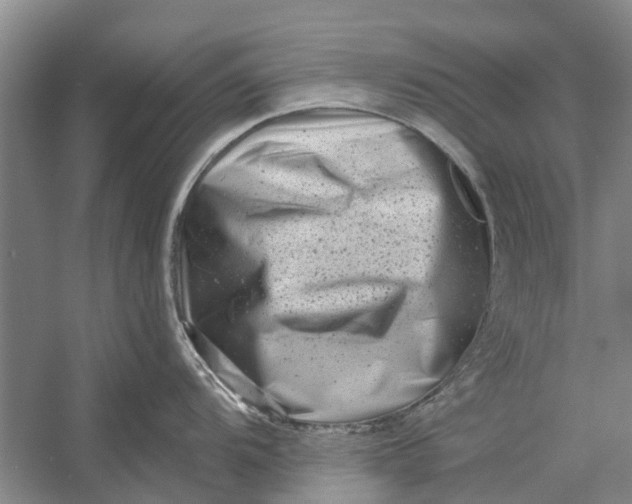 X0000054381104200508191906