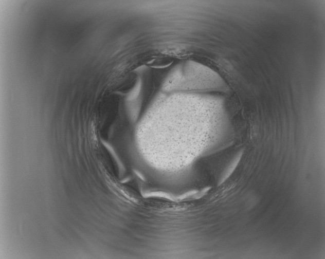 X0000054381106200508191905