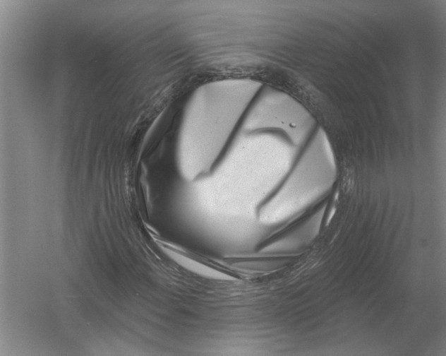 X0000054381108200508191905