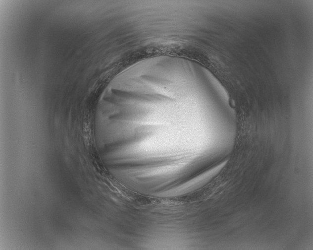 X0000054381109200508191905