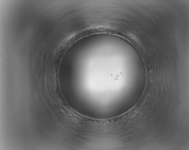 X0000054381111200508191905