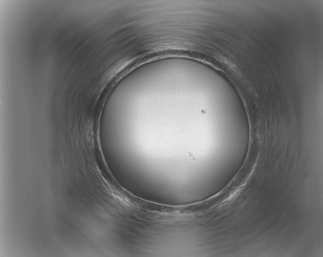 X0000054381113200508191905