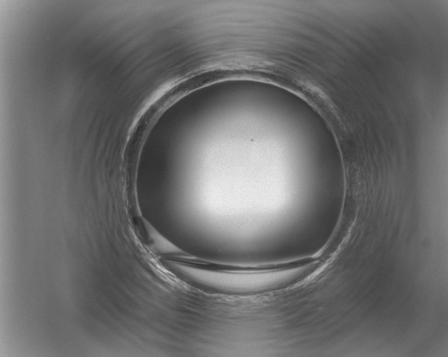 X0000054381114200508191905