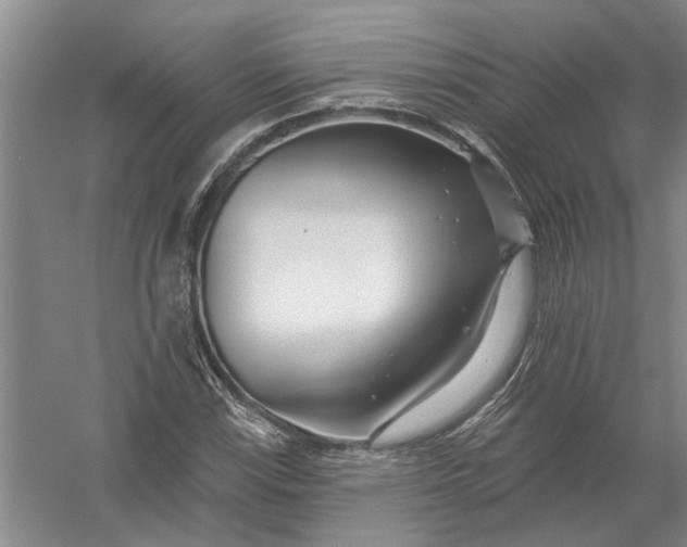 X0000054381115200508191905