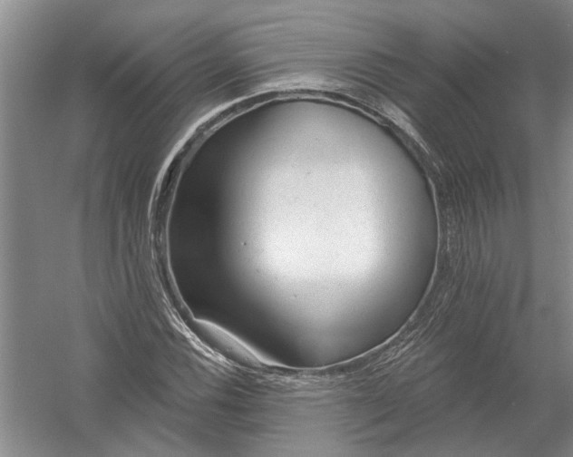 X0000054381116200508191905