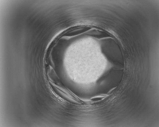 X0000054381120200508191905