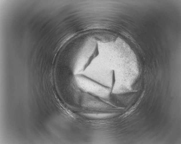 X0000054381121200508191905