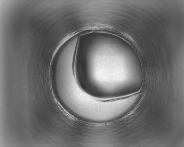 X0000054381122200508191905