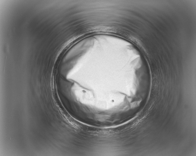 X0000054381125200508191905