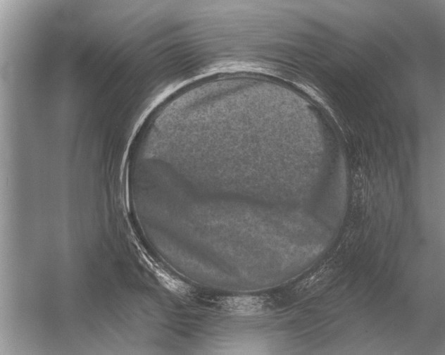 X0000054381127200508191905