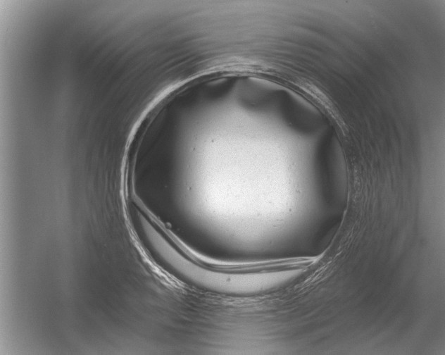 X0000054381128200508191905