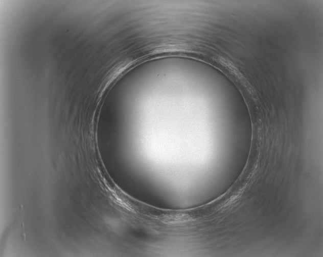 X0000054381129200508191905