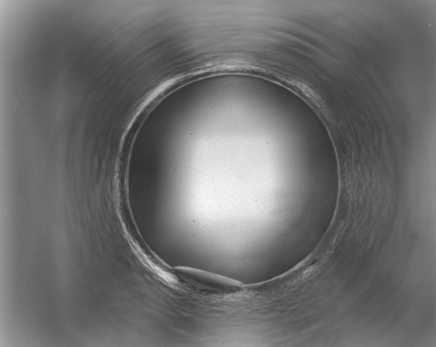 X0000054381134200508191906