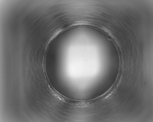 X0000054381137200508191906