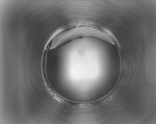 X0000054381138200508191906