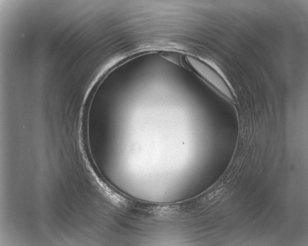 X0000054381139200508191906