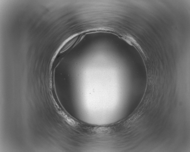 X0000054381140200508191906