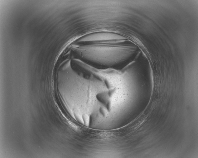 X0000054381141200508191906