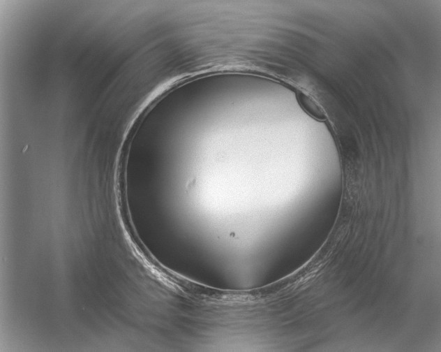 X0000054381142200508191906