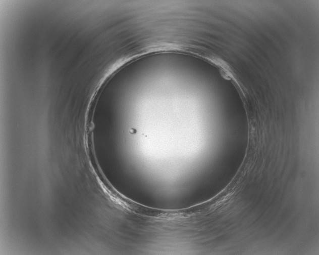 X0000054381143200508191906