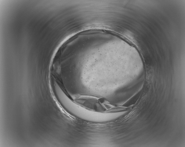 X0000054381144200508191906