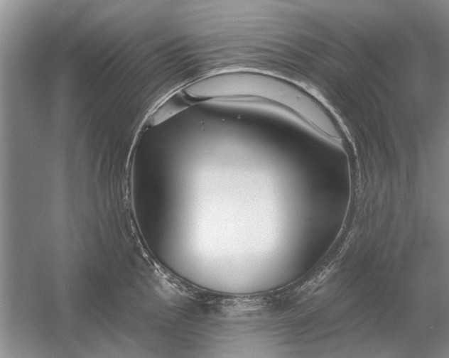 X0000054381145200508191906