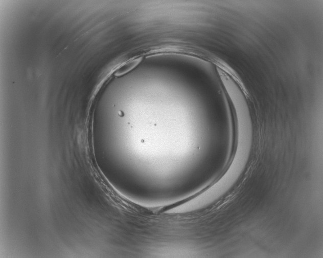 X0000054381146200508191906