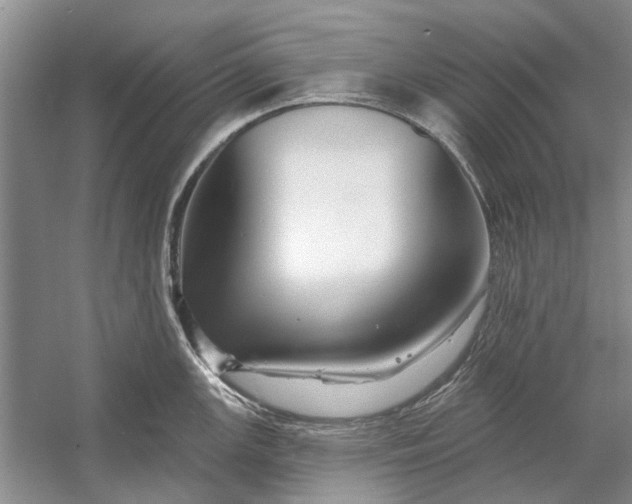 X0000054381147200508191906