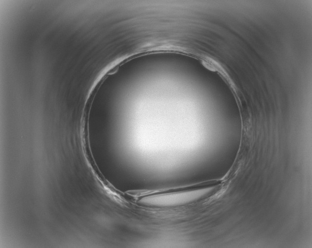 X0000054381149200508191906