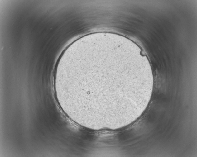 X0000054381150200508191906