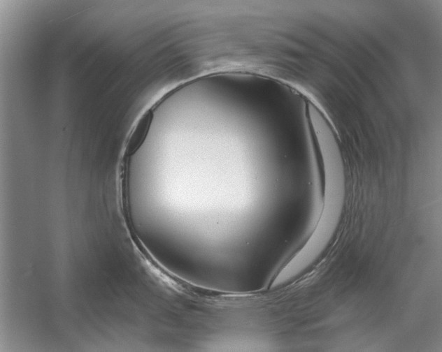 X0000054381151200508191906