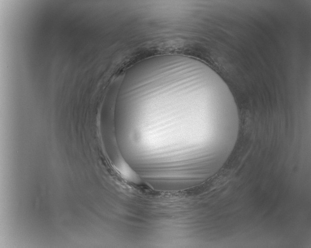 X0000054381153200508191905