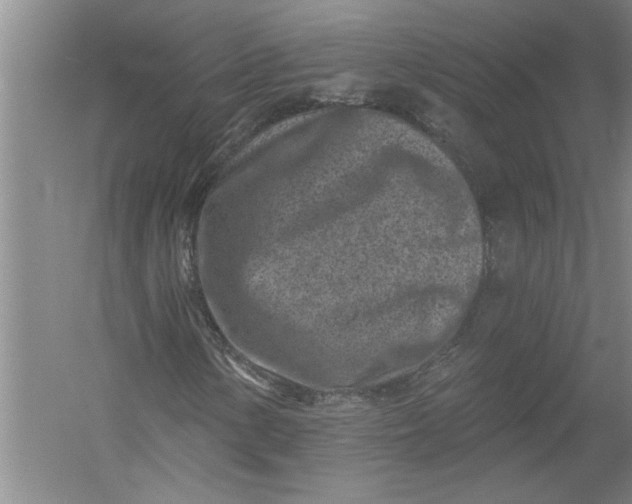 X0000054381154200508191905