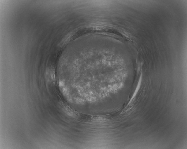 X0000054381155200508191905