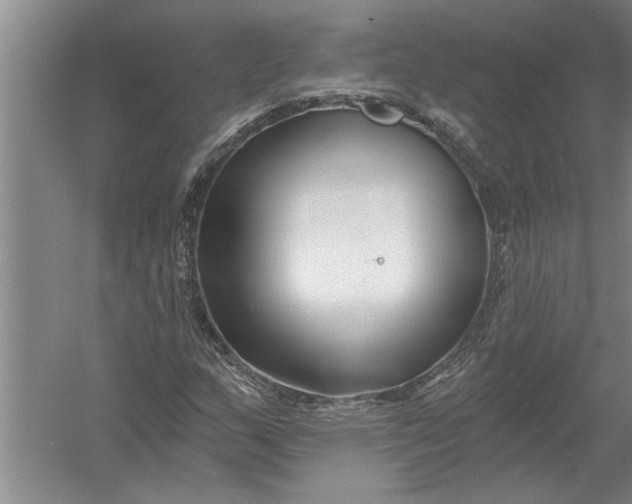 X0000054381159200508191905