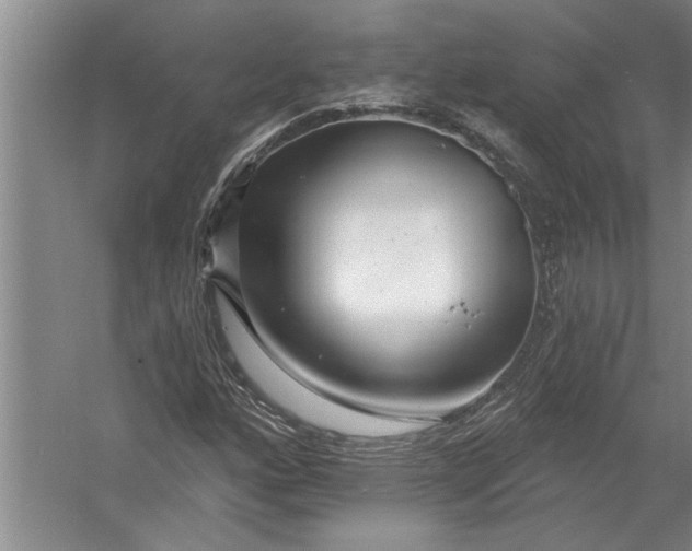 X0000054381160200508191905