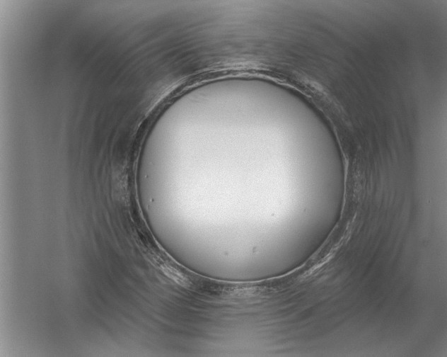 X0000054381162200508191905