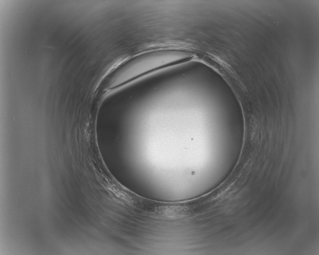 X0000054381163200508191905