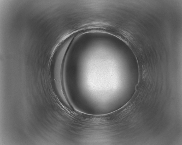 X0000054381164200508191905